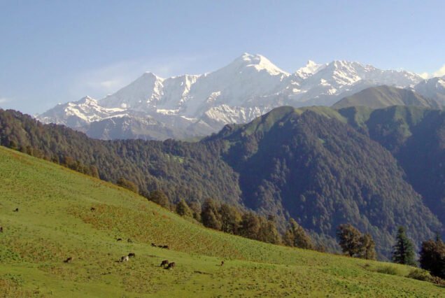 Dayara Bugyal Trek 2025, Uttarakhand
